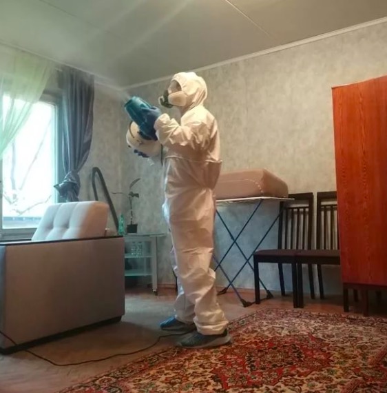 дезинсекция квартиры в Кимрах
